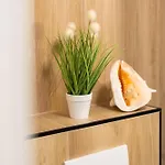 Polanki Aqua Familly Baseny Wellness Apartamento